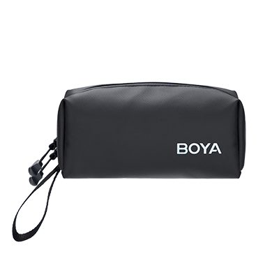 Carrying Bag