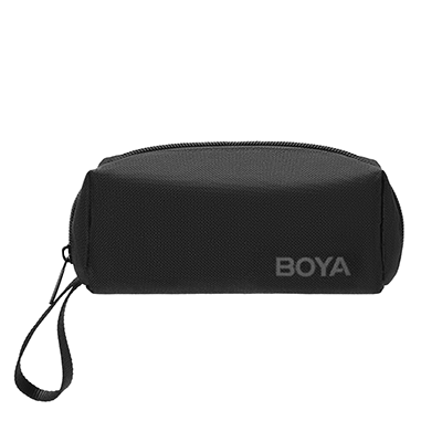 Small Carrying Bag